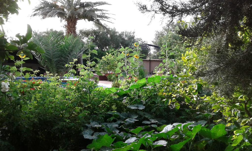 Bassatine Skoura B&B 외부 사진